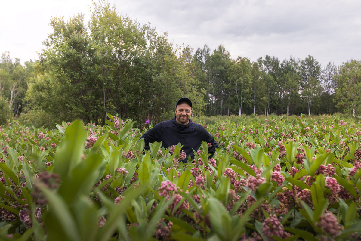 Au milieu du champ en fleurs