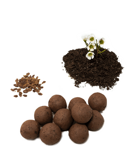Bombes semencières d'asclépiade en boules de terreau, avec graines et jeunes fleurs, à déposer au sol pour aider le papillon monarque.
