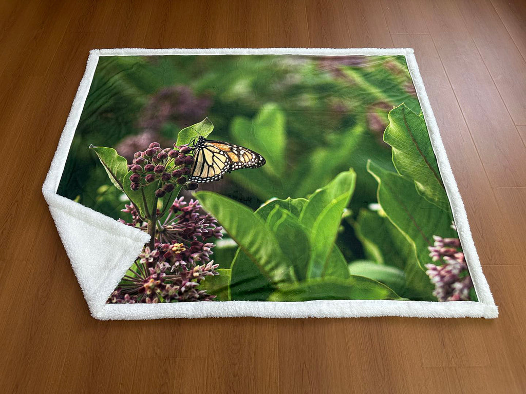 Couverture Lasclay imprimée avec un papillon monarque vu de côté, posé sur une fleur d’asclépiade.