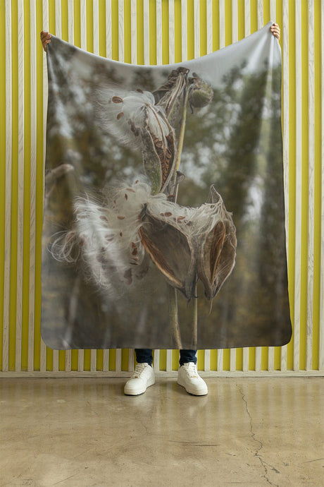Grande couverture illustrée de gousses d’asclépiade ouvertes, libérant leurs soies et graines dans un décor forestier automnal